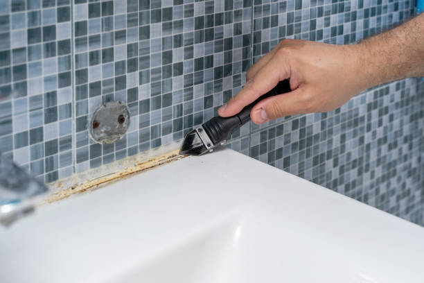 Best Black Mold Removal  in Federalsburg, MD